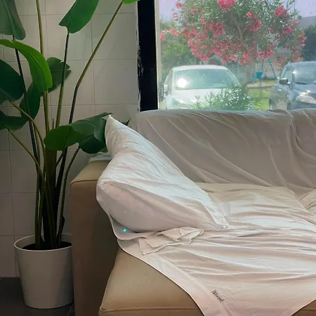 Mi Casa غالّيبولي